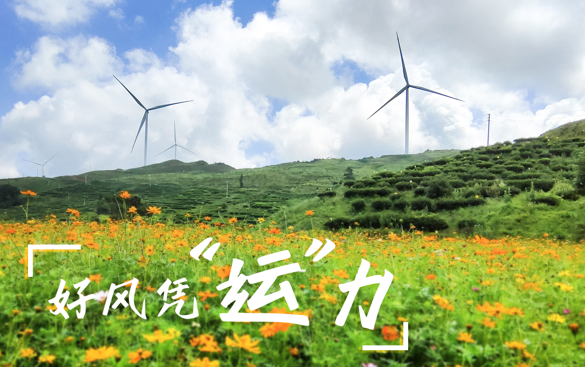 【好风凭&ldquo;运&rdquo;力】&ldquo;大风车&rdquo;转出村落振兴新路子